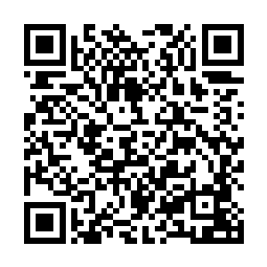 他才不不操心青青草原的动物们三个月没生意这种事情二维码生成
