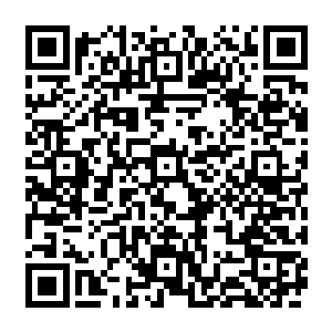 他才不会告诉梅迪尔丽尸王的裹尸布本身就是一件魔法物品――而且是魔法物品中的奇物二维码生成