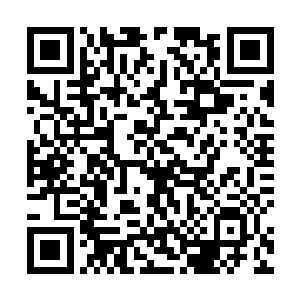 他才会决定和这个善良的感恩的女孩撒一个善意的谎言二维码生成