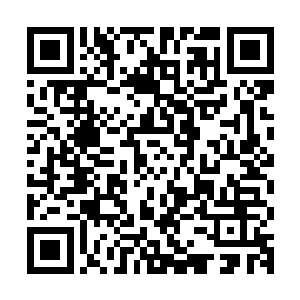 他才会如此警惕的……那可是能够横扫整个玫瑰庄园的强横存在二维码生成