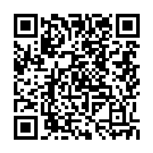 他才发现太子爷不知道什么时候软倒在了马车里二维码生成