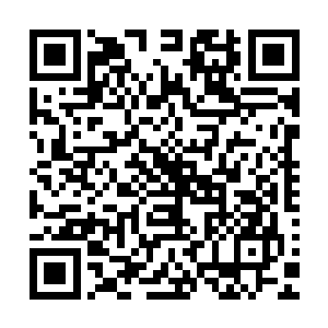 他才总算明白人家一个大帝为何会冲道源一层境的武者出手了二维码生成