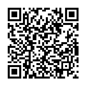 他才知道自己那点速度比起对方来实在算不了什么二维码生成