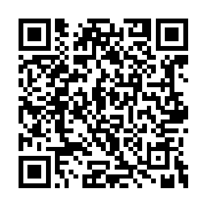 他打定主意不愿意进入到张潇晗的储物手镯里了二维码生成