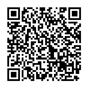 他打死也想不到那样纤细的一个人竟然会拥有3s级的精神力和体质二维码生成
