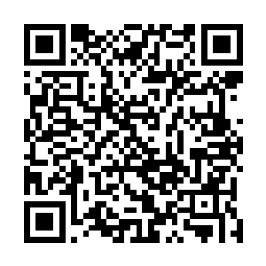 他扭头看向躺在草皮上和卢卡斯憧憬有钱之后生活的荣光二维码生成
