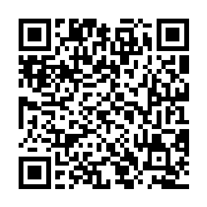 他找了十几枚野鸭蛋用草编制了一个小篮子带回了湖边二维码生成