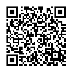 他找到曲溪的愿意那就是因为曲溪这个怕死的性格二维码生成