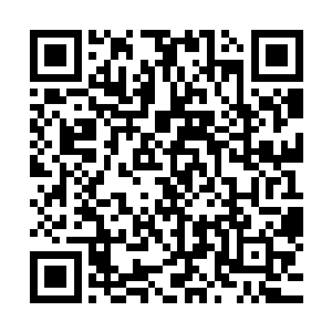 他把体内的元阳之气透过银针一丝一缕的渡进玛瑞太太的脑海二维码生成