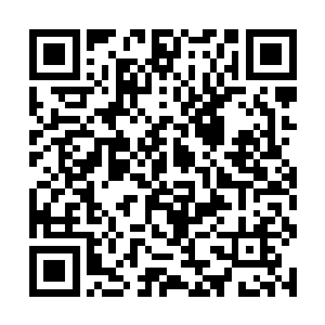 他把对音乐的热爱全都倾注在越发纯粹动听的琴声中二维码生成