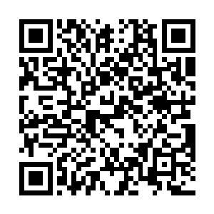他把温从谦离开前安排的综合性管理软件系统给边学道二维码生成