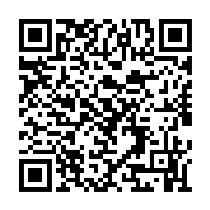 他抓起桌子上的大半瓶牛栏山二锅头对秦洛说道二维码生成
