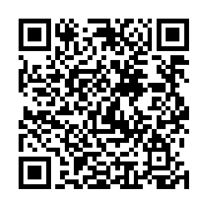 他抱着金毛虎王的幼崽就以最快的速度向着森林外围奔去二维码生成