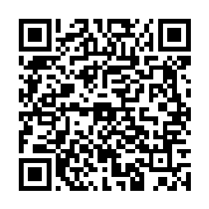 他担心他一松手这女人就用那玩意儿抽他绑他吊他二维码生成