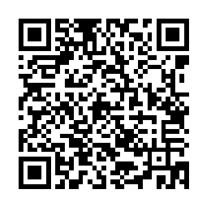 他担心这些根系直接连通地下灵河……若真是这样的话二维码生成