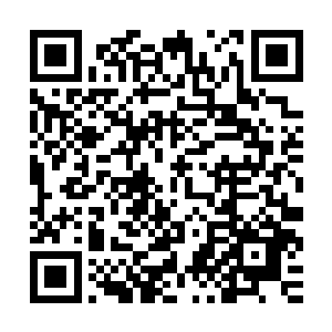他拿到的那个最佳原创剧本小金人已经放在了橱柜最显眼的位置二维码生成
