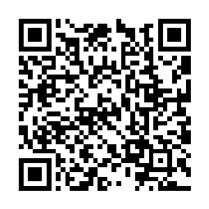 他拿着二星坚固的武器和夏天炼制的武器去硬碰硬二维码生成