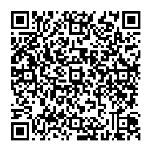他挣了这么大的名声也是为母校争光――可是也不用咱们这么一大群人跑来学校门口迎接他啊二维码生成