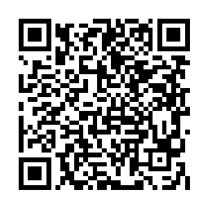 他提升太快基础不稳的武功真真正正稳固了下来二维码生成