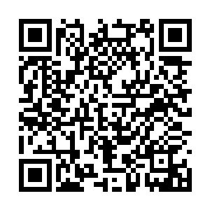 他敏锐地嗅到了玛丽亚和荣耀至死之间的共同之处二维码生成