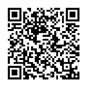 他敏锐的察觉到了黑色之花一些和之前不太一样的地方二维码生成