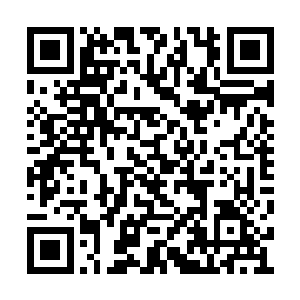 他整个人如同布娃娃一样被巨人尸兄捏在掌心里二维码生成