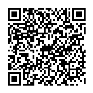 他整个身体随着咒语散出一道道好像超音波的无声波纹向周围以自身为圆心扩散二维码生成