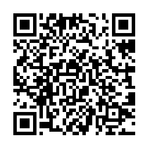 他方才质疑文相之言简直如不懂事的幼童在胡言乱语二维码生成