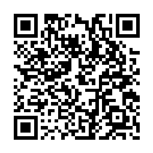 他无法容忍自己一直软弱无力地呆在手下的背上二维码生成