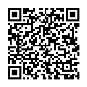 他既然上一次突然转变态度就是因为看到珊珊之后二维码生成