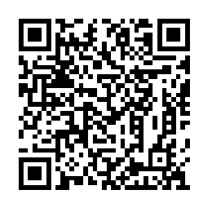 他既然很爱苏小爱……那为什么要和苏小爱离婚二维码生成