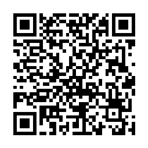 他既然敢在知道你们所有人都存在的情况下还敢如此挑衅二维码生成