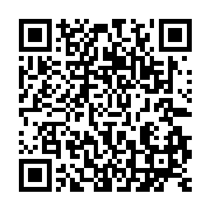 他早上临走前说的那段话仿若播音机般不停地在他耳边回响起来二维码生成