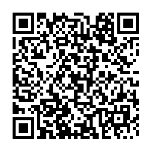 他早就从刚才麒麟族和大鹏族族人口中得知了刚才龙一对其他三大氏族二维码生成
