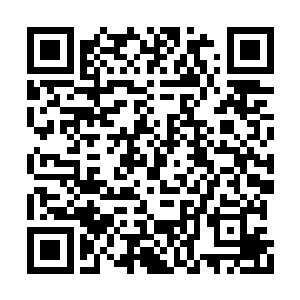 他早就料到夏天看到这一幕的时候会非常惊讶了二维码生成