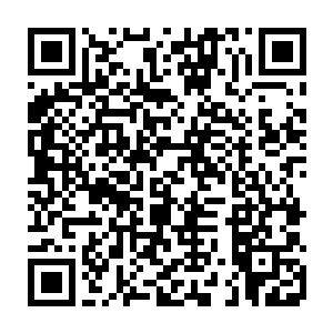 他早就知道面前站着的这个秦洛和他们的菲利普王子好的能够同穿一条裤子二维码生成
