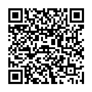 他早让南希在编剧协会备案了一个科幻类型的剧本二维码生成