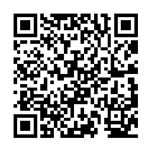 他明明可以一脚将对方踹飞然后回去继续守着苏落的二维码生成