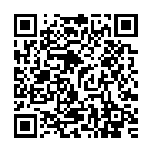 他明显的感觉与这头妖狼似乎挂上了一丝说不清道不明的羁绊二维码生成