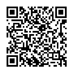 他明白雪狼的冷酷和残忍也明白如果它们作为伙伴有多么的可靠二维码生成