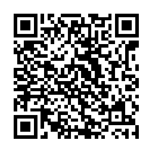 他明知道紫龙是傲龙会的人呢竟然还敢对着紫龙动手二维码生成