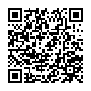 他昨天见过的林浣溪女士在秦洛的身后推着轮椅二维码生成