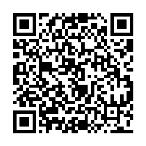 他是一万个没想到沈馥会在这个时间出现在这里二维码生成