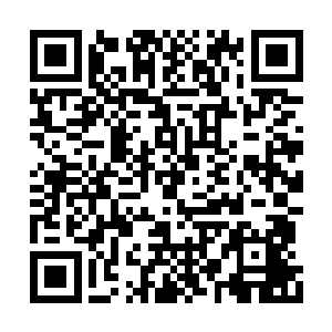 他是不会帮秦方铲除敌人的……敌人若是很强大二维码生成