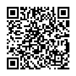 他是不可能因为你这个没爹没娘的废物杀了我的二维码生成
