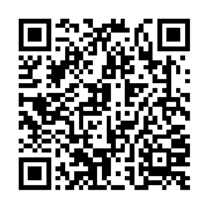 他是不可能有机会从天陨手中夺走赫拉迪姆之杖的二维码生成