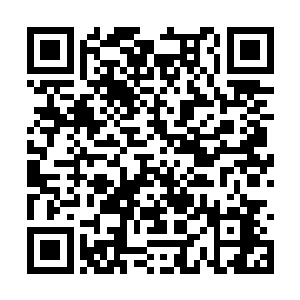 他是不是要每天除了忙工作之外还要操心她的生活二维码生成