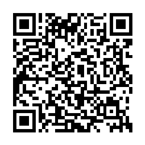 他是参照了赤眼狼和铁脊狼的实力增幅来猜测的二维码生成
