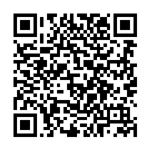 他是可以确定忠心的林家管事里面唯一有水运经验的人二维码生成