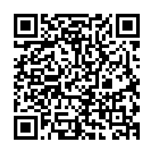他是否比核心弟子中那几个小家伙更加优秀不久后你会看到的二维码生成